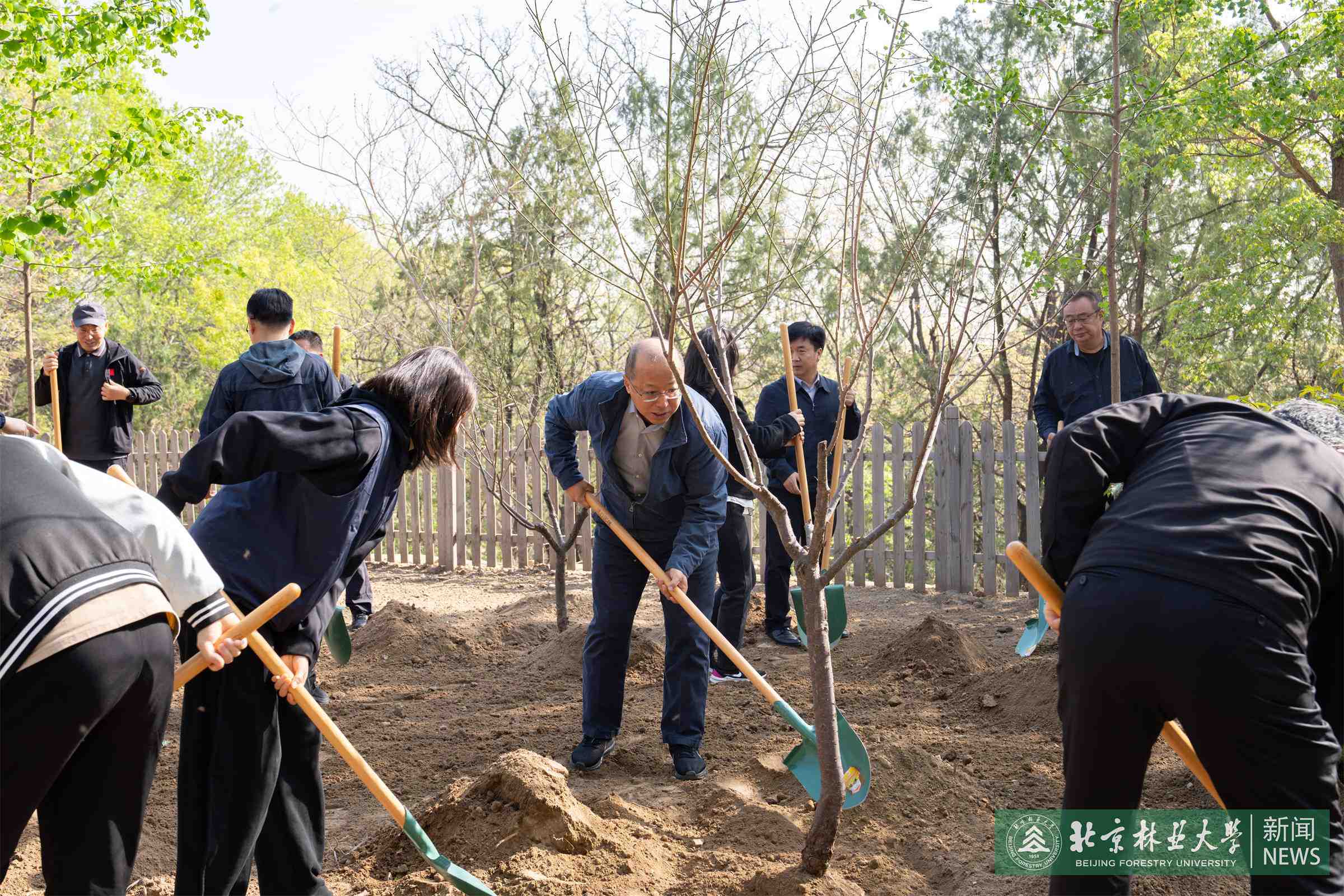 4.10植树-2.jpg